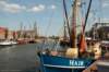 zuiderhaven_small.jpg